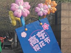 -高东镇樱花园