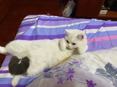 -沐王府水会(中欣广场店)