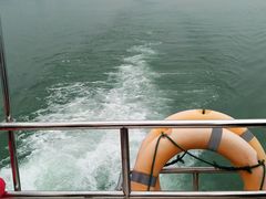 -太湖湖滨国家湿地公园-停车场