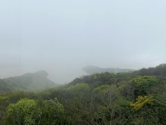 -普陀山风景区-佛顶山
