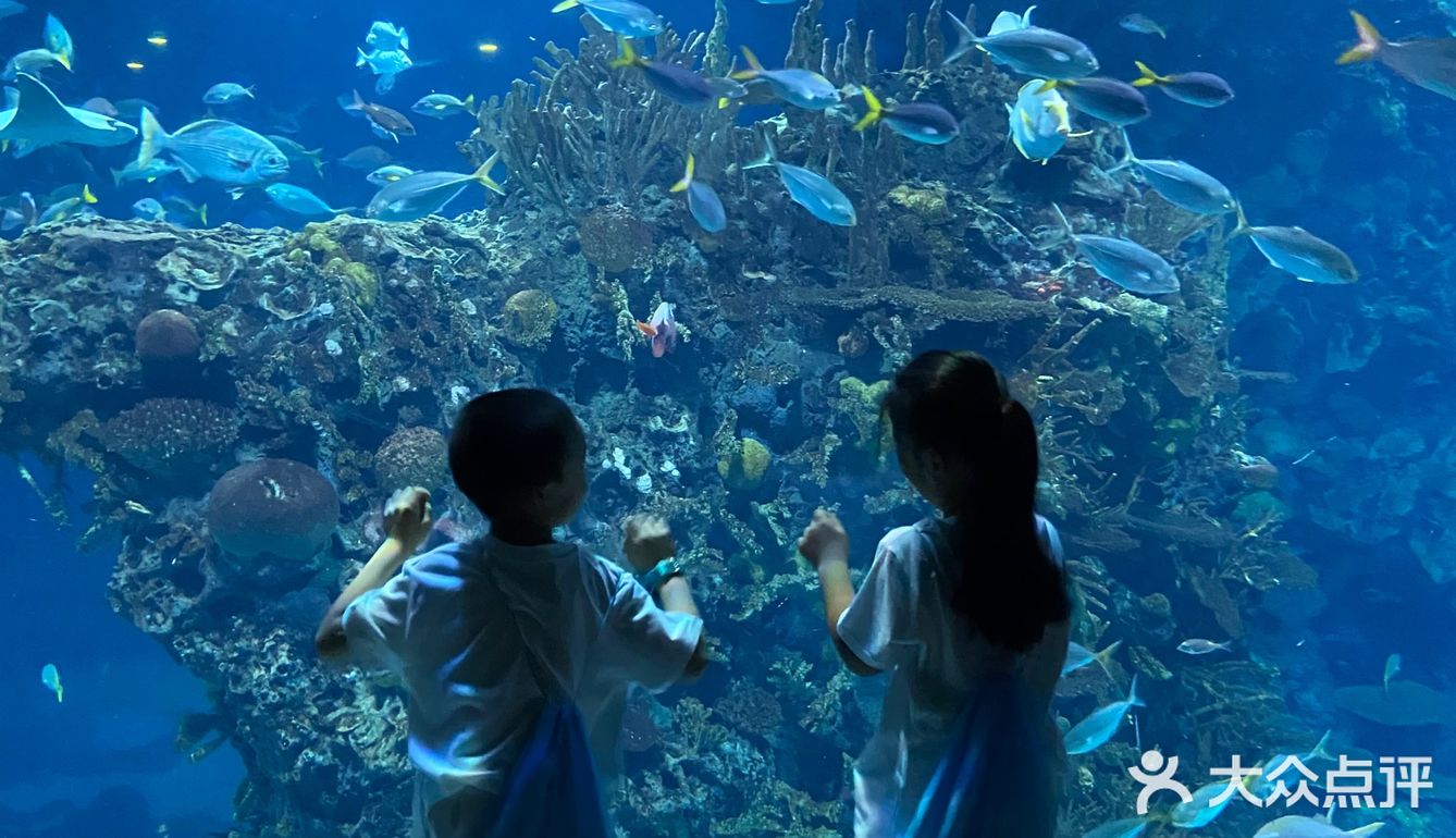 夜宿北京海洋馆