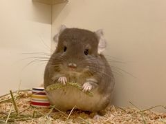 -龙猫仔乐园(惠福东路店)