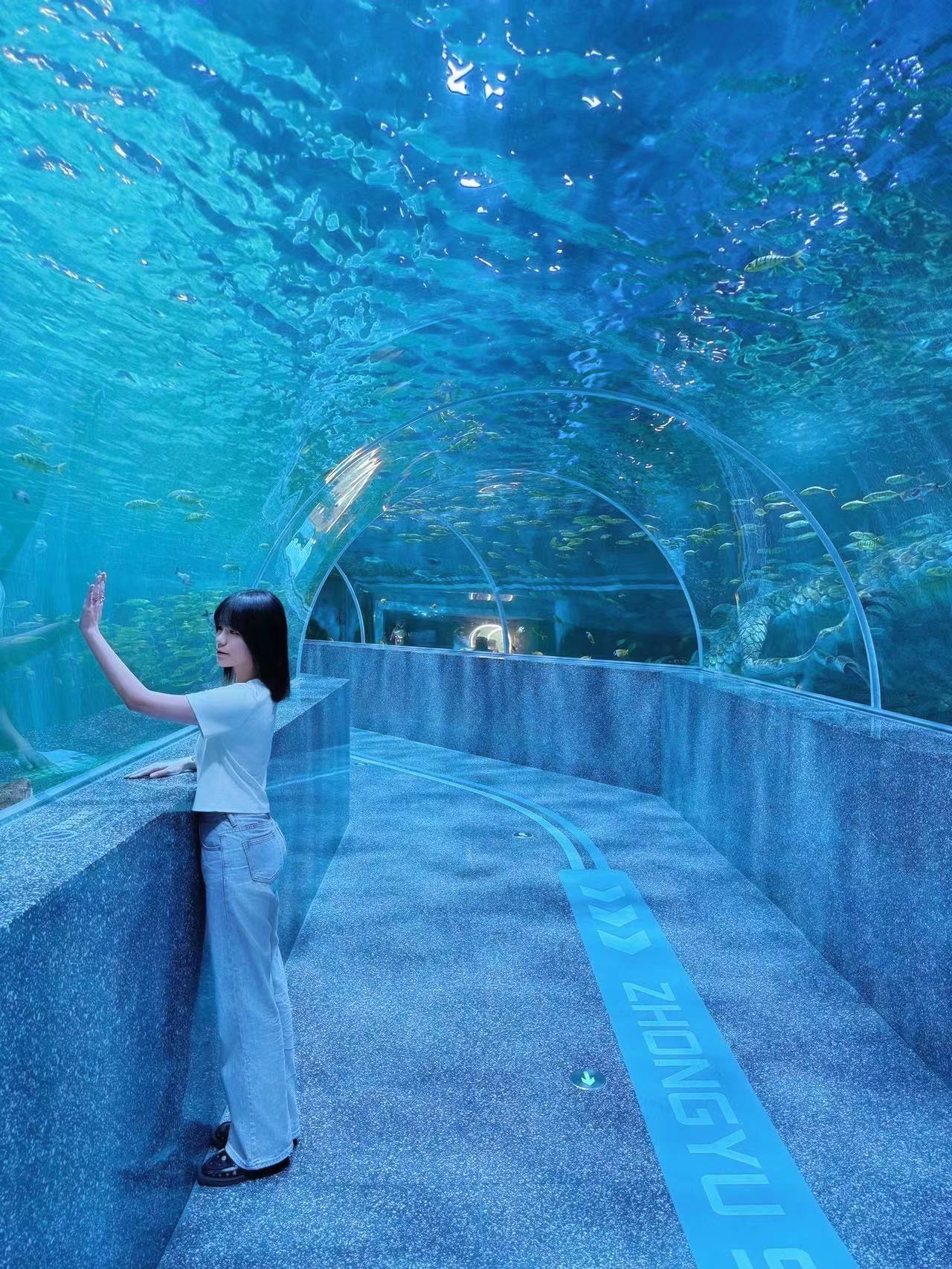 藏在厦门海上世界里的海洋馆