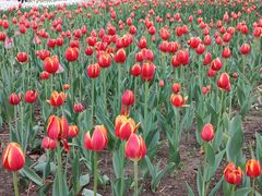 -长春公园(普阳街道)