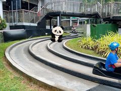 -圣淘沙天际线斜坡滑车