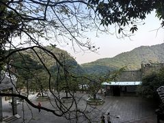 -鼎湖山风景区