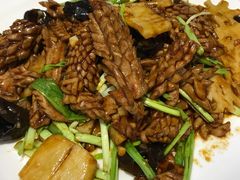 -金春禧(英雄山路旗舰店)
