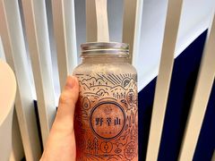 -野萃山·潮汕厚果汁(十亩地店)