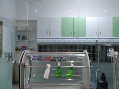 -汪喵宠物医院·骨科心脏影像·犬猫急重症ICU诊疗中心(成华分院)