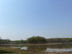 -东郊湿地公园