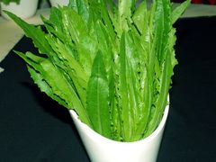 生菜-豆爷烤肉(沁水路龙湖店)