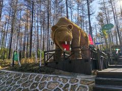 -莫尔道嘎国家森林公园