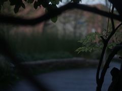 -活水公园