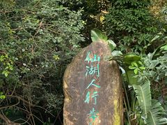 -深圳仙湖植物园