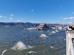 -海埂大坝