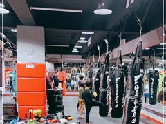 -TFC 纯泰拳馆MuayThai