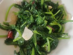 -云腾食府·云南菜