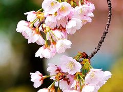 -多乐之日(田林东路店)