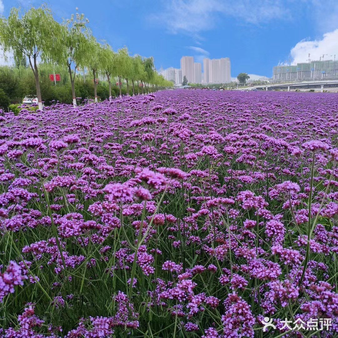 可是远远就看到湖水和其他湖水没什么两样