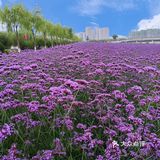 可是远远就看到湖水和其他湖水没什么两样