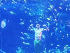 -泉城欧乐堡海洋极地世界