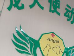 -天使宠物医院·犬猫分诊(彩虹店)
