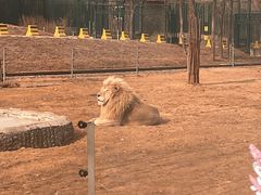 -秦皇岛野生动物园