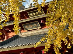 -上海东林寺(金山区)
