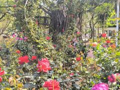 -人民公园(罗湖区)