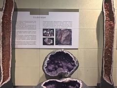 -中华赏石园