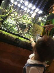 -酷嗒动物文化乐园(cutezoo西溪乐天城店)