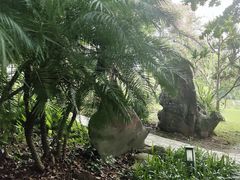 -中国科学院西双版纳热带植物园