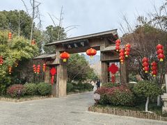 -习家池