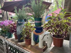 -园林美食城·本土农家菜(杨和镇店)