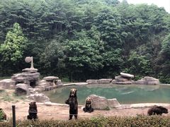 -杭州野生动物世界