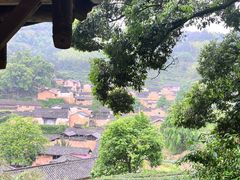 -杨家堂村