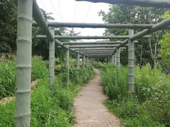 -龙寺生态园