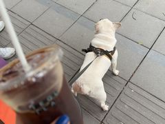 -Tequila Espresso(嘉善路店)