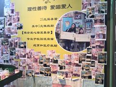 -猫咪博物馆(顶澳仔猫街店)