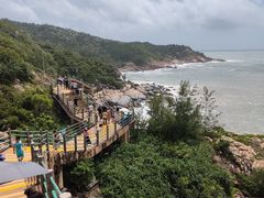 -广东惠东海龟国家级自然保护区