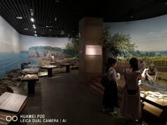 -烟台市博物馆