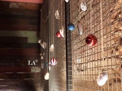 -斯普汇生蚝牛排馆(中骏世界城店)