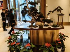 -松鹤楼(狮山永利广场店)