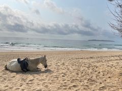 -三亚海棠湾万丽度假酒店