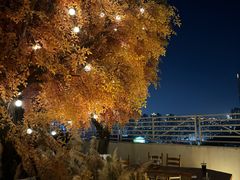 -Blue Concept Cafe&Farm·關於藍