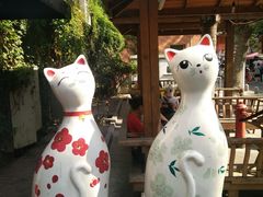 -猫咪博物馆(顶澳仔猫街店)