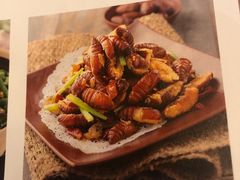 干煸蚕蛹-恒盛居回族饭店