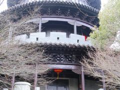 -八大山人梅湖景区