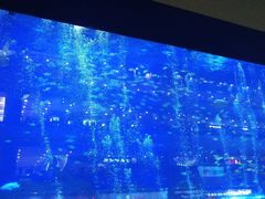 -成都浩海立方海洋公园