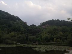 -神光山国家森林公园